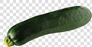 Zucchini Png Hd  Transparent Png