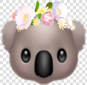  emoji  koala  stickers   Koala Bear Emoji Whatsapp  HD Png Download