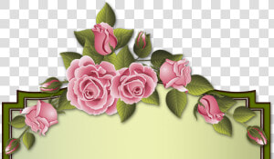 Изображение Для Плейкаста   Garden Roses  HD Png Download