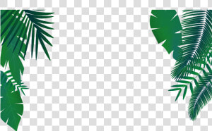 Palm Png Vector   Palm Leaves Vector Png  Transparent Png