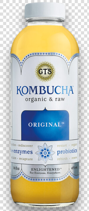 Gt S Kombucha Original   Original Kombucha  HD Png Download