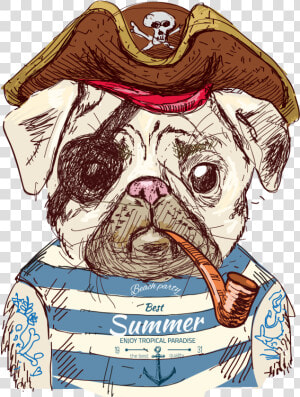 Cute Pug Dog Illustration Pirate Drawing Clipart   Pirate Pug  HD Png Download