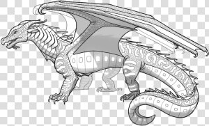 Wings Of Fire Wiki   Seawing Dragon Coloring Pages  HD Png Download