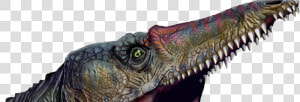 Lesothosaurus  HD Png Download