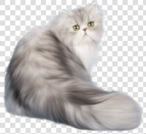 Cat Png Clip Art   Transparent Persian Cat Png  Png Download