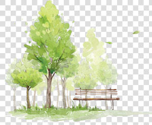 Sketch To Paint Trees Watercolor How In Clipart   Tree Watercolor Png  Transparent Png