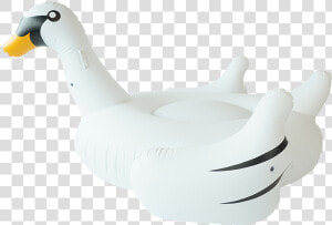 Sunfloats Inflatable White Swan Pool Floats  HD Png Download