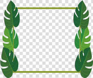 Mq Leaf Leaves Frame Frames Palm   Palm Leaves Border Clipart  HD Png Download