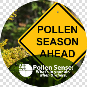 Pollen Sense What S In Your Air When And Where   Pollen Allergies  HD Png Download