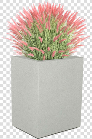 Flower Bush For Rendering   Png Download   Realistic Plant Render  Transparent Png