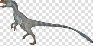 Velociraptor Transparent Images Png   Velociraptor Clipart Transparent Background  Png Download