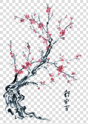 Twig Drawing Cherry Tree Transparent Png Clipart Free   Drawing Japanese Cherry Blossom Branch  Png Download