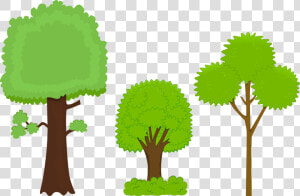 Plant leaf tree   Big Tree And Small Tree Clipart  HD Png Download