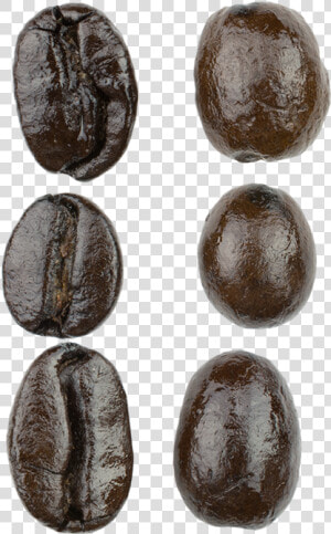 Espresso Blend Macro   Kidney Beans  HD Png Download