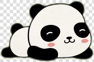  italy  freetoedit  panda  sticker  kawaii  cute  japan   Panda Wallpaper Desktop Hd  HD Png Download