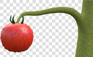 Tomato Plant Wip   Strawberry  HD Png Download