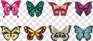 Vectores En Mariposas Png  Transparent Png