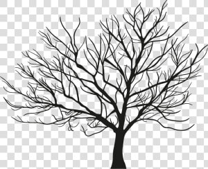 Tree Branch Winter   Vector Maple Tree Silhouette Winter  HD Png Download