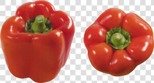 Pepper Png Image   Red Bell Pepper Png  Transparent Png