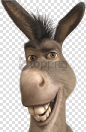 Free Png Donkey From Shrek Smiling Png Image With Transparent   Donkey From Shrek Face  Png Download