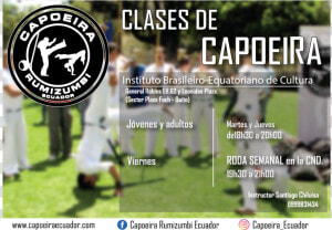 Curso De Capoeira   Turkey  HD Png Download