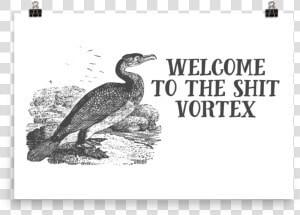 Shit Vortex Srcset Data   Effin Birds Welcome To The Shit Vortex  HD Png Download