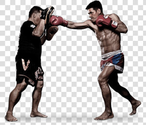 Muay Thai Png   Muay Thai  Transparent Png