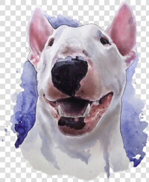 Bull Terrier  Watercolor   Watercolor Bull Terrier  HD Png Download