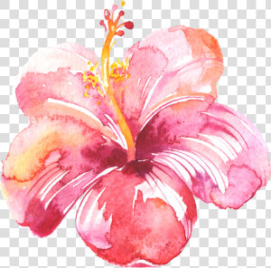 Transparent Watercolor Splotch Png   Hibiscus Flower In Pink Watercolor  Png Download