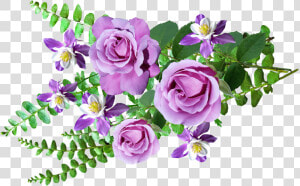 Цветы Png   Flores Imagenes De Helechos  Transparent Png