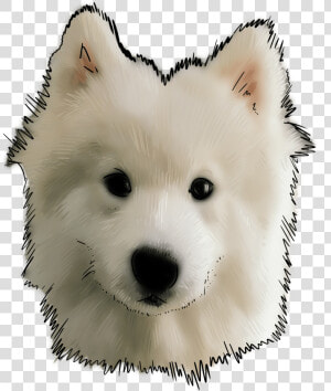 Canadian Eskimo Dog  HD Png Download