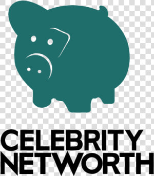 Celebrity Net Worth  HD Png Download