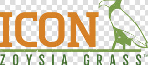 Icon Zoysia Grass   Graphic Design  HD Png Download