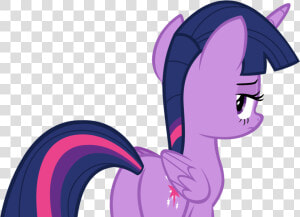 My Little Pony Twilight Sparkle Plot  HD Png Download