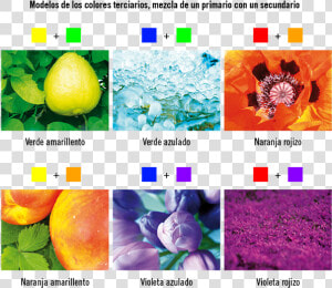 90642   Objetos De Colores Secundarios  HD Png Download