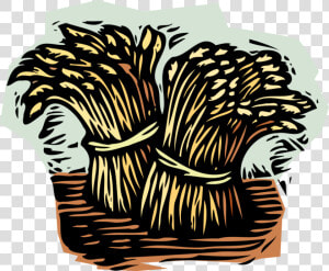 Vector Illustration Of Wheat Sheaves Sheaf Bundles   Sheaves Of Wheat  HD Png Download