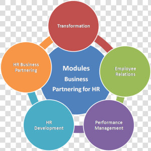 Hr Business Partner Vs Hr Manager Marang Human Capital   Search Strategy  HD Png Download