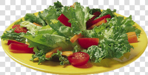 Free Png Vegetable Salad Png Png Images Transparent   Salad  Png Download