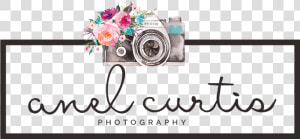 Anel Curtis Photography   Floral Design  HD Png Download