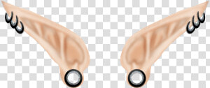 Ear Elf Clip Art   Elven Ears Png  Transparent Png