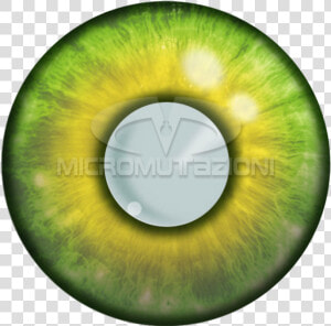 Contact Lenses For Fairytale  HD Png Download