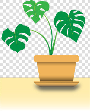 Adobe Illustrator   Houseplant   Houseplant  HD Png Download