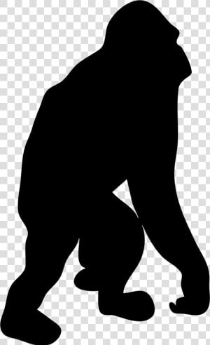 Gorilla Orangutan Silhouette Clip Art   Orangutan Vector  HD Png Download