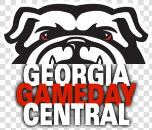 Georgia Bulldog Gameday Central   Pug  HD Png Download