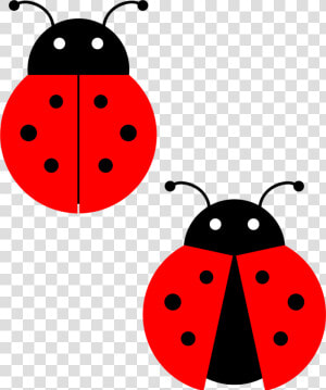 Download Red Ladybug Png Photos For Designing Purpose   Lady Bugs Drawing  Transparent Png