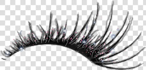  lashes  eyelashes  eye  eyes  lash  freetoedit   Cartoon Eyelashes Drawing  HD Png Download