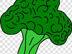 Vegetables Clipart Brocoli   Broccoli Clip Art  HD Png Download