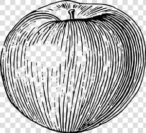 Drawing Apple Big   Apple Line Drawing Png  Transparent Png