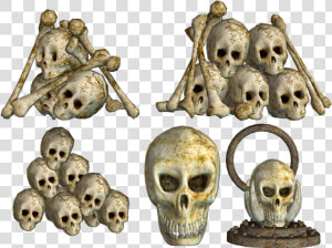 Pile Of Skulls Png Pic   Pile Of Skulls Png  Transparent Png