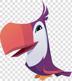 Toucan Clipart Real Animal   Animal Jam Toucan Png  Transparent Png